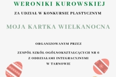 Dyplom-Weronika-K.