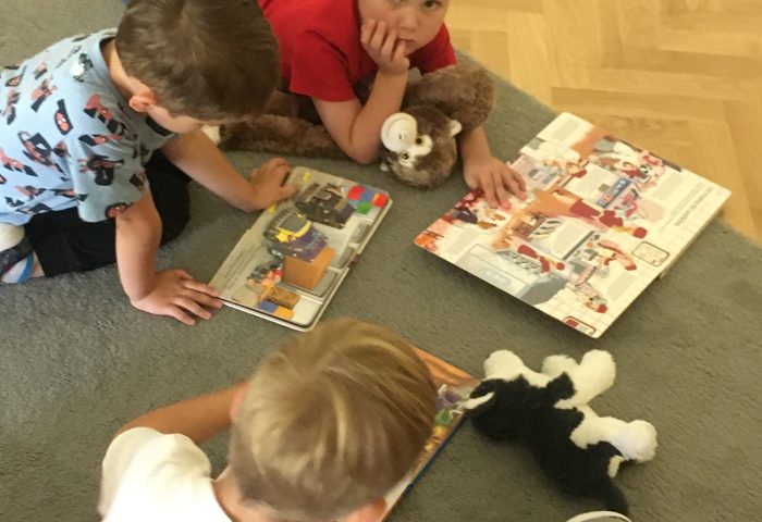 Grupa III - Dzieci przeglądają ulubione książki