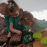 Grupa I - Dzieci sadzą fasolę