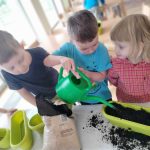 Grupa IV - Dzieci podlewają rośliny